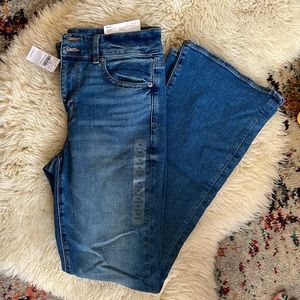 American Eagle Hi-Rise Artist Flare
